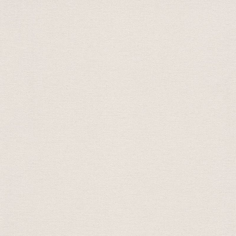 Wall Textures IV 4 Wallpaper 448641 By Rasch For Galerie
