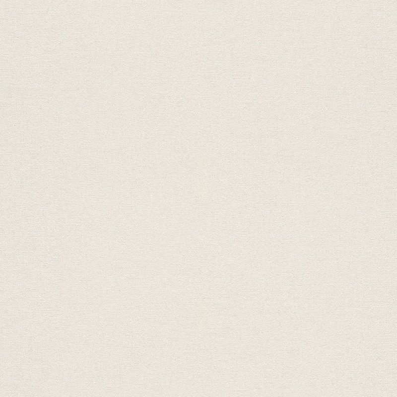 Wall Textures IV 4 Wallpaper 449808 By Rasch For Galerie