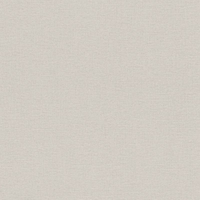 Wall Textures IV 4 Wallpaper 452013 By Rasch For Galerie