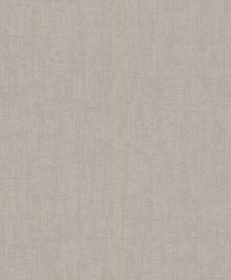 Wall Textures IV 4 Wallpaper 899047 By Rasch For Galerie