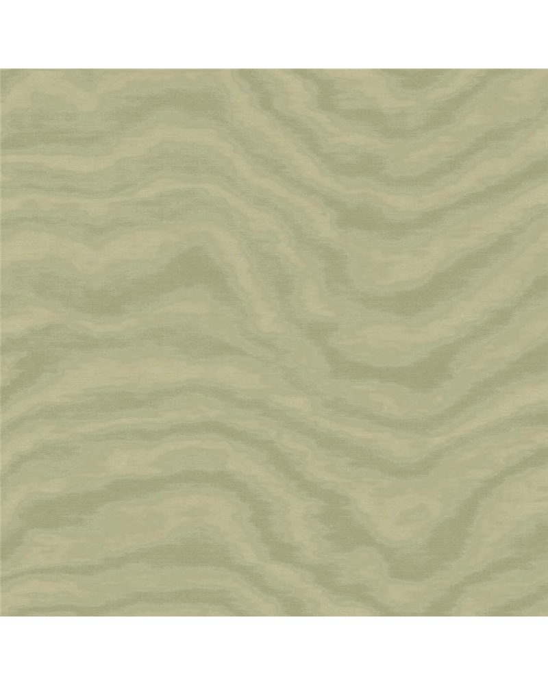 aura wallpaper 42201 by cristiana masi for colemans