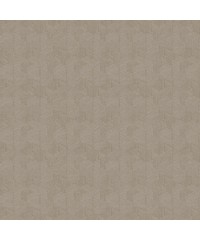 Pavone Sketch Twenty 3 Wallpaper Lazio Ivory Cloud PA01604 PAO1604 By Tim Wilman