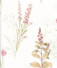 Abby Rose 3 Wallpaper AB42442 By Norwall For 