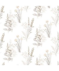 Abby Rose 4 Wallpaper AB42446 By Norwall For 