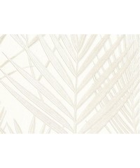 Alta Gamma Evolution Best Of Wallpaper Felce 