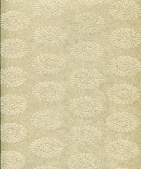 Bellagio Wallpaper FY40407 By Collins & Compa