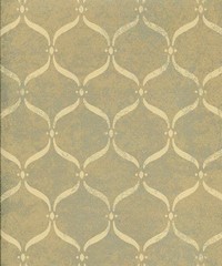 Bellagio Wallpaper FY41005 By Collins & Compa