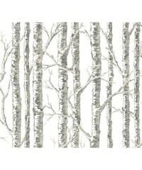 Black & White Wallpaper BW3901 Paper Birch By
