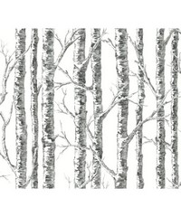 Black & White Wallpaper BW3902 Paper Birch By