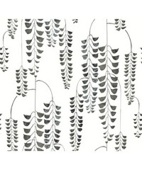 Black & White Wallpaper BW3943 Deco Wisteria 