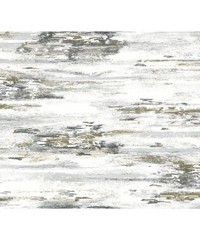 Black & White Wallpaper BW3961 Birch Bark Tex