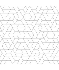 Black & White Wallpaper SW7457 Point Of View 
