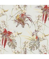 Blooming Wild Wallpaper BW51028 Page 43 By AS