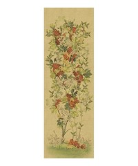 Blumarine Home Collection No. 2 Wallpaper Pan