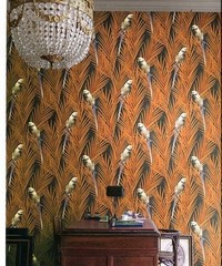 Cabinet Of Curiosities Wallpaper Eden Mandari