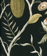 Cabinet Of Curiosities Wallpaper Papaya Kombo