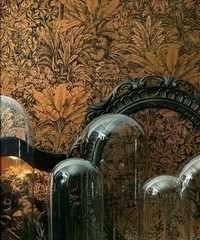 Cabinet Of Curiosities Wallpaper Sauvage Mand