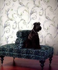 Carl Robinson Edition 2 Belle Wallpaper CB220