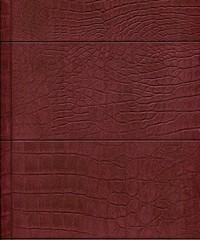 Cosmopolitan Wallpaper 576108 By Rasch For Ga