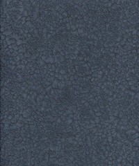 Dandy Wallpaper Obsessive Plain 72350872 7235