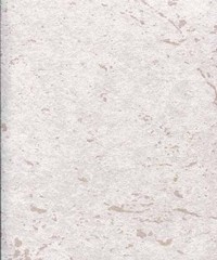 Era Wallpaper ER19022 Plain Marble Beige By D