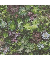 Evergreen Wallpaper 7322 By Galerie