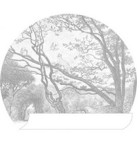 Forest Friends Wall Wonders Self Adhesive Rou