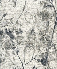 Gianfranco Ferre Home No.3 Wallpaper GF62004 