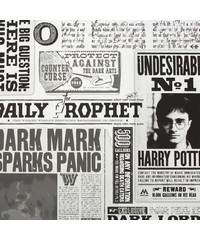 Individual Daily Prophet Harry Potter Wallpap