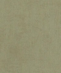 Inspire Wallpaper 218512 or INS218512 By BN W