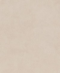 Inspire Wallpaper 221053 or INS221053 By BN W