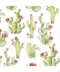 Kitchen Style 3 Wallpaper CK36630 By Norwall 