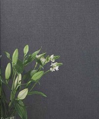 Linen Wallpaper Unis Plains INN 6852 95 60 IN