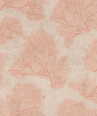 Moana Wallpaper 300474 By Rasch For Today Int