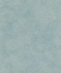 Moana Wallpaper 300481 By Rasch For Today Int