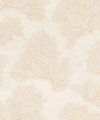 Moana Wallpaper 300498 By Rasch For Today Int
