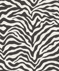 Natural FX 2 Wallpaper Page 29 G67491 Zebra B