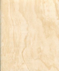 Restored Modern Rustic Wallpaper Plywood 2540