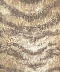Roberto Cavalli Home No.2 Wallpaper RC13028 B
