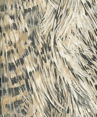 Roberto Cavalli Home No.4 Wallpaper RC15088 B