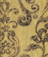 Roberto Cavalli Wallpaper RC12023 By Colemans