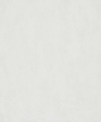 Urban Textures Wallpaper Structure Pearl 3427