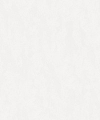 Urban Textures Wallpaper Structure White 5801