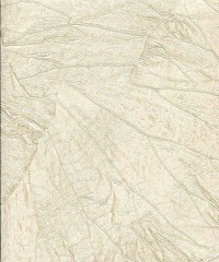 Wall Sculptures Wallpaper Y6180303 By York St