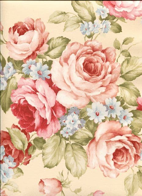 Abby Rose 3 Wallpaper AB27614 By Norwall For Galerie