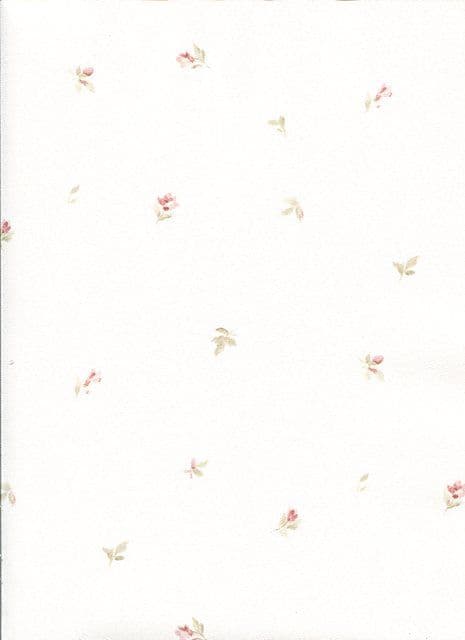 Abby Rose 3 Wallpaper AB27626 By Norwall For Galerie