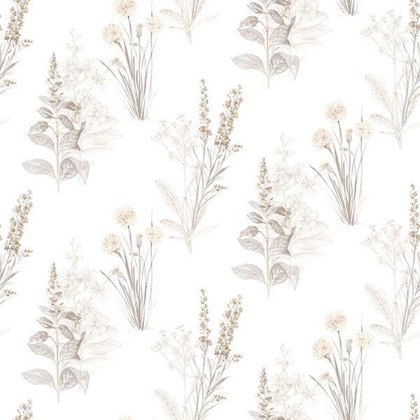 Abby Rose 4 Wallpaper AB42446 By Norwall For Galerie