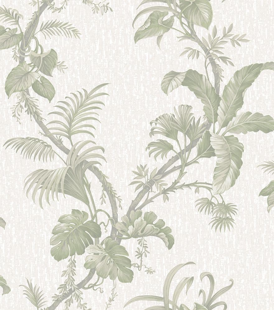 Alocasia Alocasia Green Wallpaper 36042 By Holden Decor For Colemans