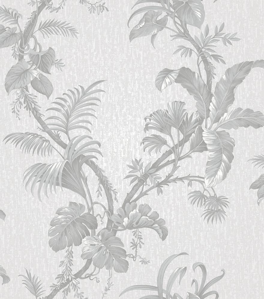 Alocasia Alocasia Grey Wallpaper 36041 By Holden Decor For Colemans