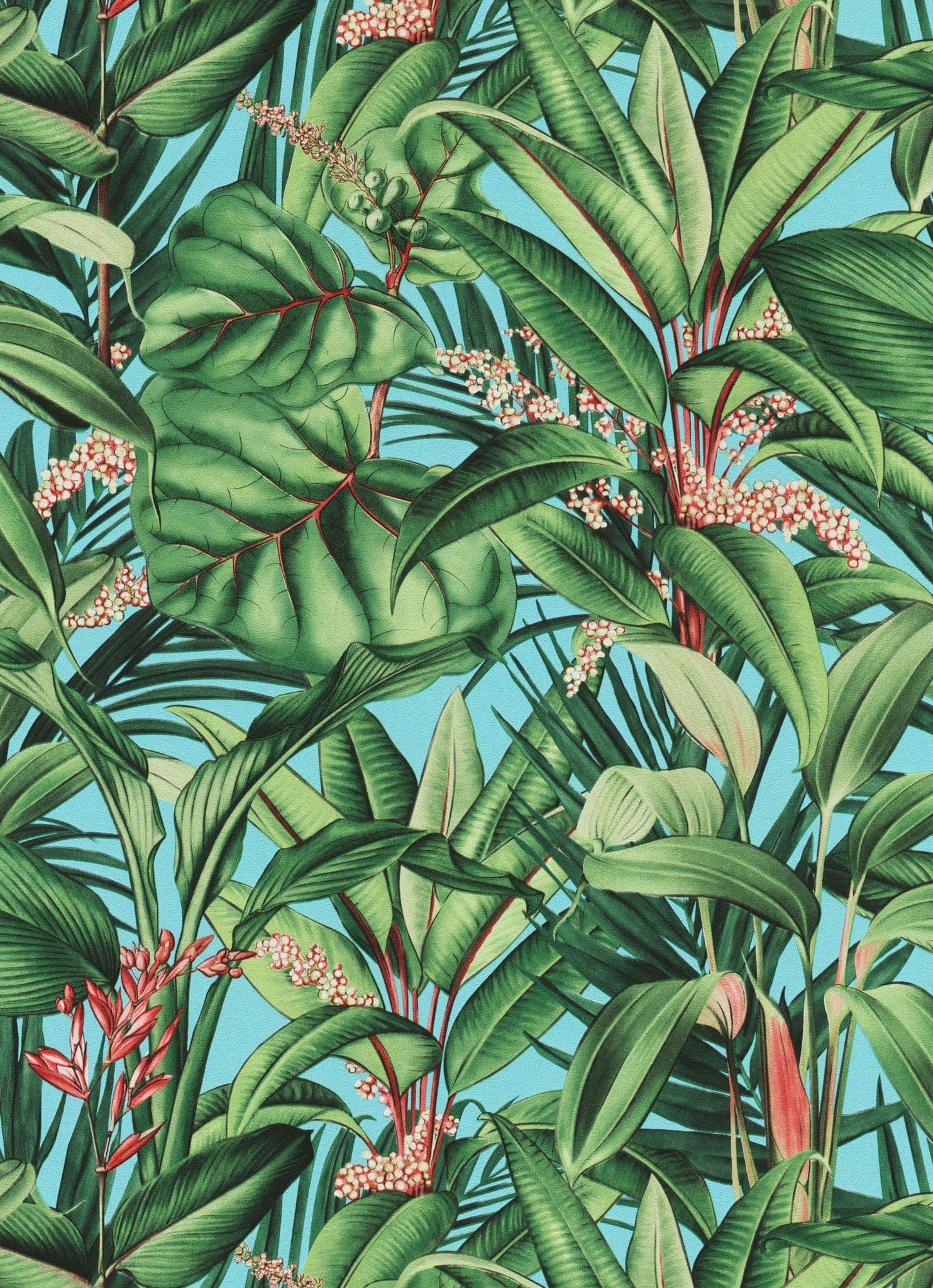 Amazonia Page 24 Wallpaper AM30004 By Galerie